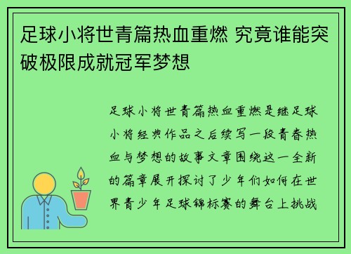 足球小将世青篇热血重燃 究竟谁能突破极限成就冠军梦想 足球小将世青篇热血重燃 究竟谁能突破极限成就冠军梦想